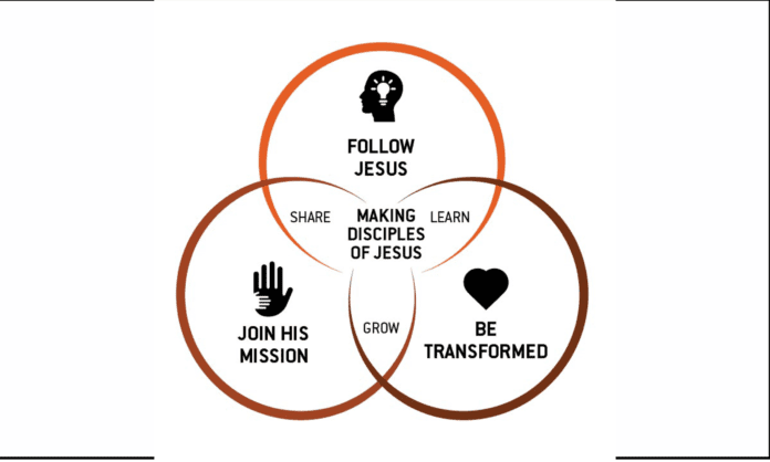 Barker Graphic Web